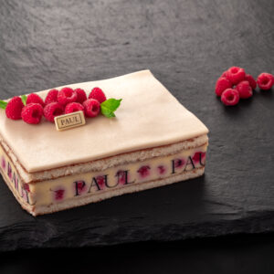 Framboisier malinový dort velký